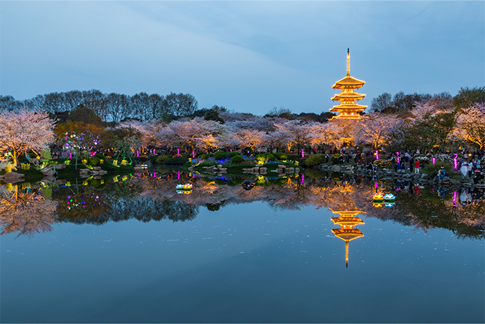 公園燈光亮化