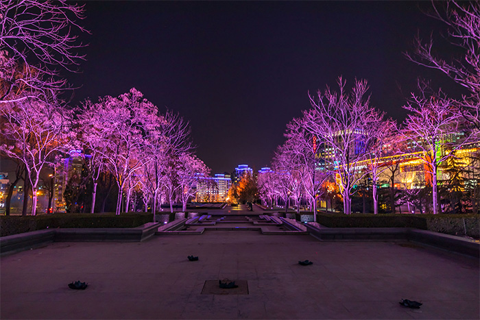 公園綠地夜景亮化