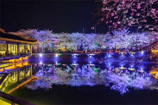 夜景照明工程公司